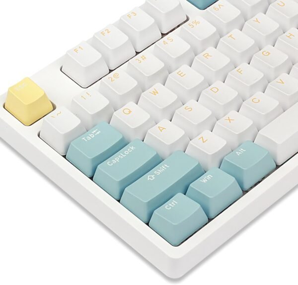 PBT Doubleshot Keycaps OEM Profile for 61 63 64 66 68 84 87 96 100 104 108 MX Stwitches Mechanical Keyboards（Sea Salt Keyset） - Image 3