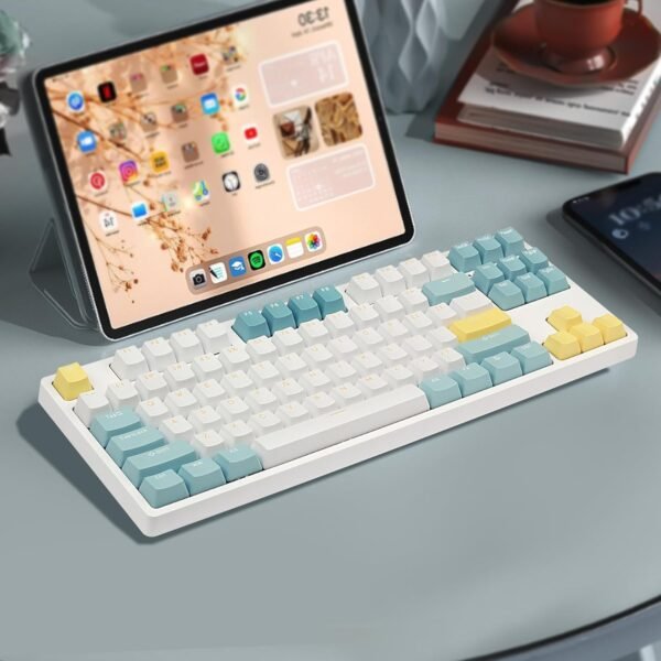 PBT Doubleshot Keycaps OEM Profile for 61 63 64 66 68 84 87 96 100 104 108 MX Stwitches Mechanical Keyboards（Sea Salt Keyset） - Image 7